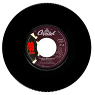 Delbert McClinton : SANDY BEACHES/ SANDY BEACHES