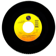 k.d. lang : LOCK, STOCK AND TEARDROPS/ DON'T LET THE STARS GET IN YOUR EYES