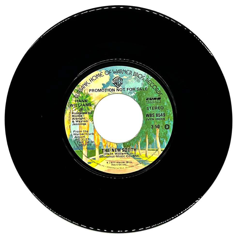 Hank Willliams, Jr. : THE NEW SOUTH/ THE NEW SOUTH
