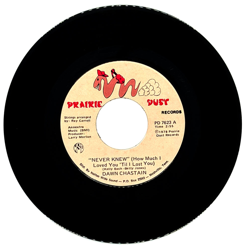 Dawn Chastain : NEVER KNEW HOW MUCH I LOVED YOU 'TIL I LOST YOU)/ AIN'T NO DOUBT ABOUT IT