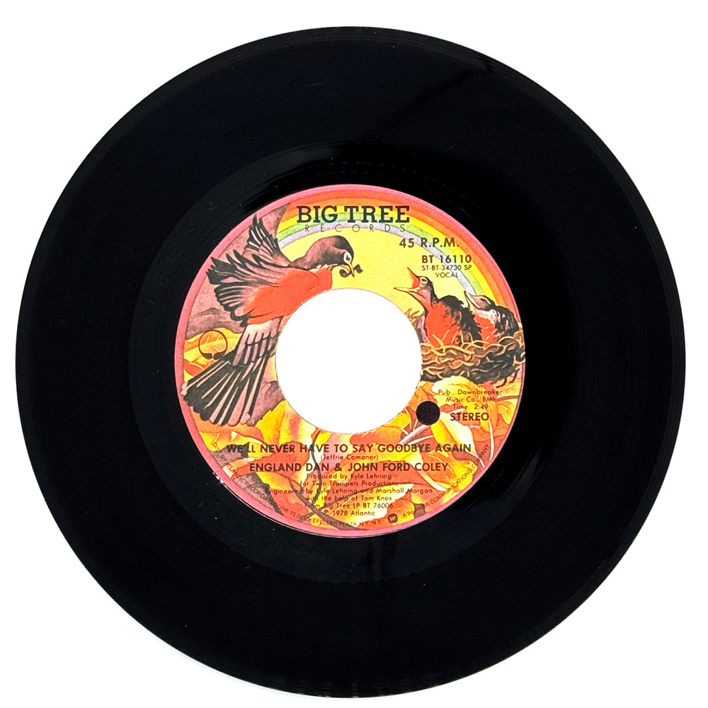England Dan & John Ford Coley : WE'LL NEVER HAVE TO SAY GOODBYE AGAIN/ CALLING FOR YOU AGAIN