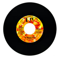 Dirt Band, The : AN AMERICAN DREAM/ TAKE ME BACK
