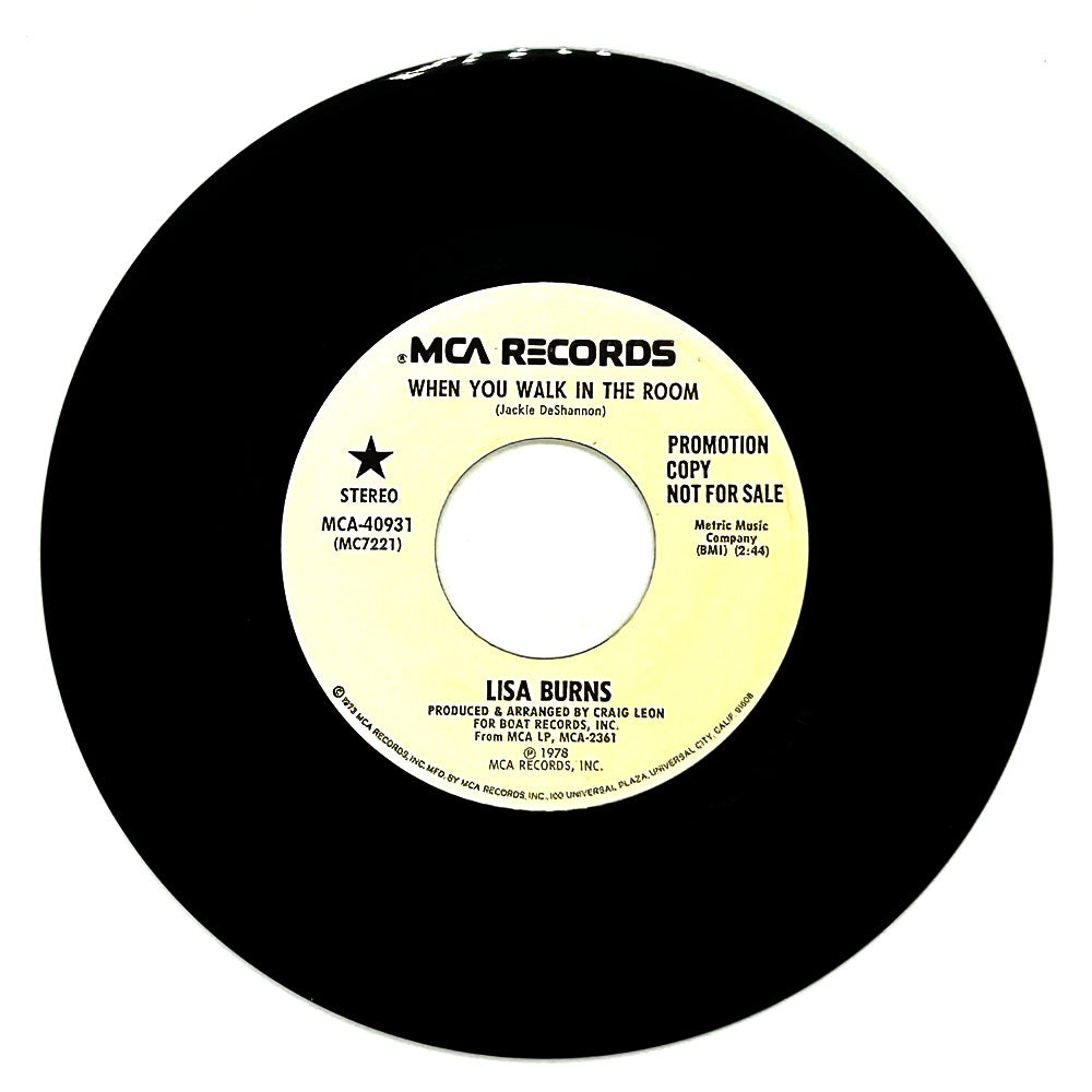 Lisa Burns : WHEN YOU WALK IN THE ROOM/ WHEN YOU WALK IN THE ROOM