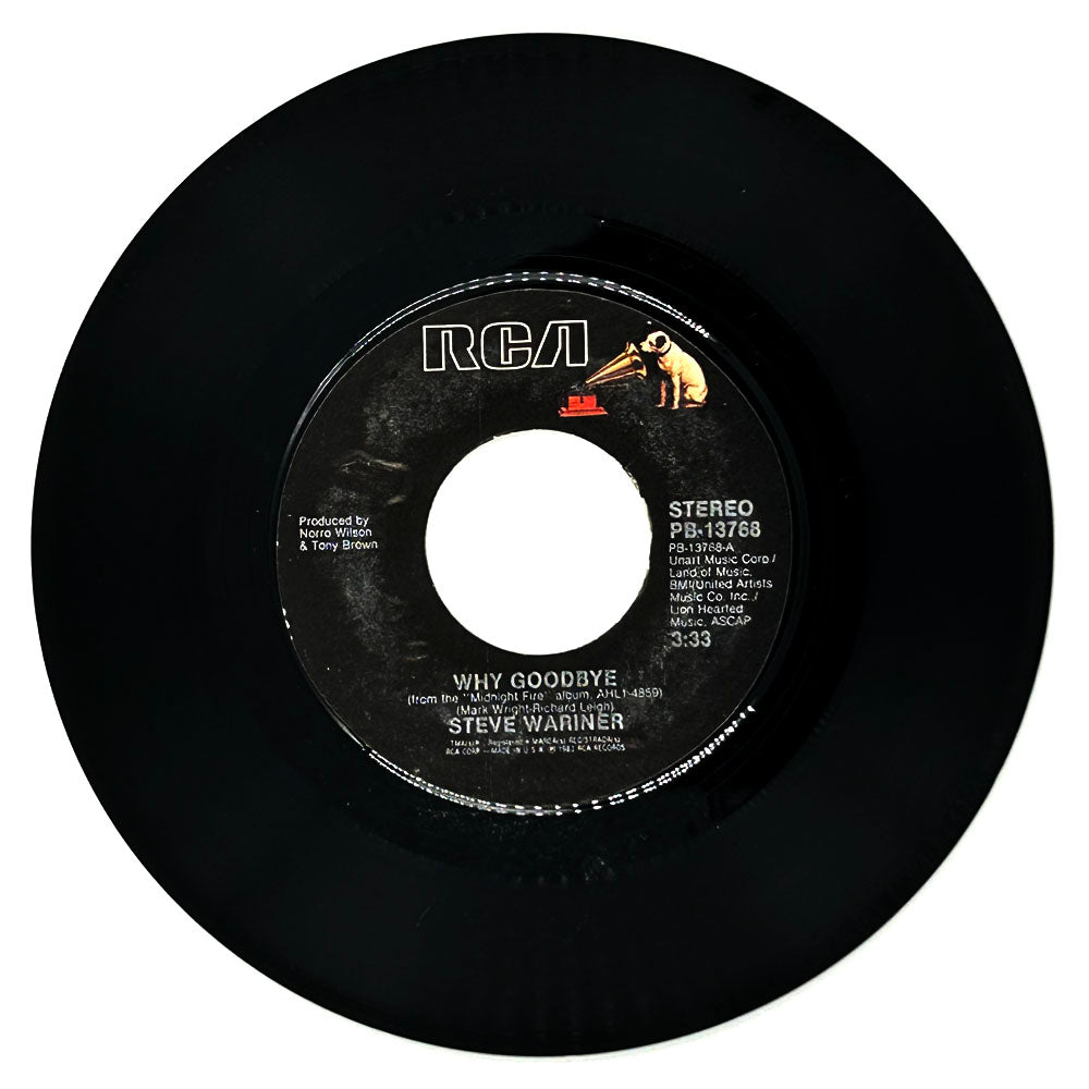 Steve Wariner : WHY GOODBYE/ DON'T YOU GIVE UP ON LOVE