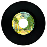 Ashford & Simpson : IT SEEMS TO HANG ON (EDIT)/ TOO BAD