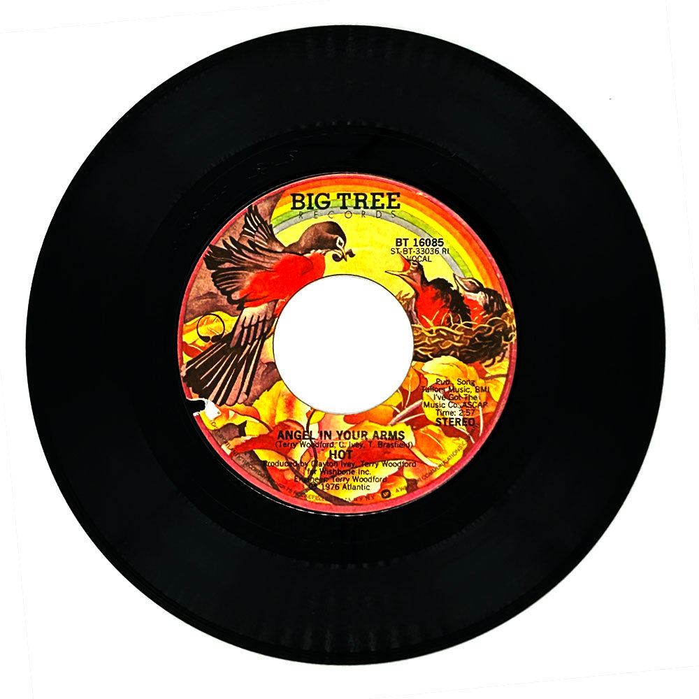 Hot : ANGEL IN YOUR ARMS/ JUST 'CAUSE I'M GUILTY