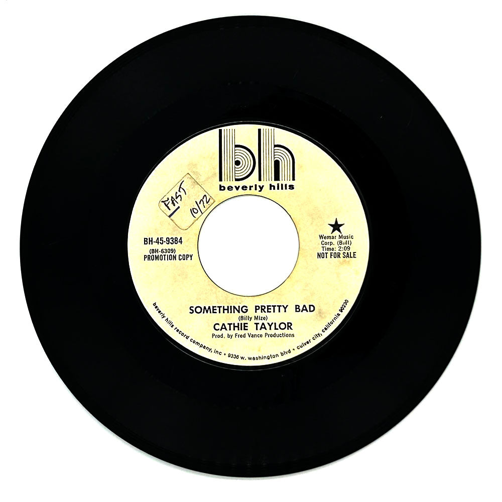 Cathie Taylor : SOMETHING PRETTY BAD/ THE DAYS AND NIGHTS I LOVED YOU