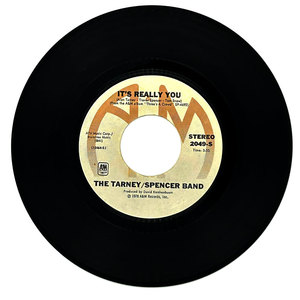 Tarney/ Spencer Band, The : IT'S REALLY YOU/ SET THE MINSTREL FREE