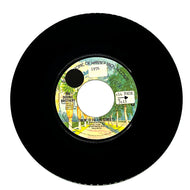 Doobie Brothers, The : TAKIN' IT TO THE STREETS/ FOR SOMEONE SPECIAL