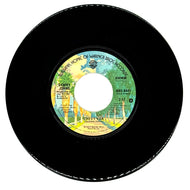 Sammy Johns : CHEVY VAN/ MUSIC OF THE BAND