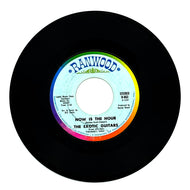 Exotic Guitars, The : NOW IS THE HOUR/ I WAS KAISER BILL'S BATMAN