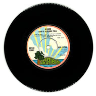 Bryan Ferry : A HARD RAIN'S A-GONNA FALL/ 2 H.B.