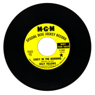 Billy Fellows : EARLY IN THE MORNING/ STAINED GLASS WINDOWS