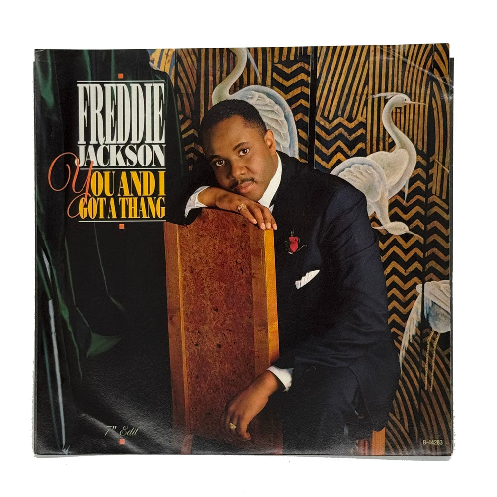 • Freddie Jackson : YOU AND I GOT A THANG/ IT'S GONNA TAKE A LONG, LONG TIME