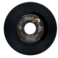 John Denver and Sylvie Vartan : LOVE AGAIN/ John Denver : IT'S ABOUT TIME
