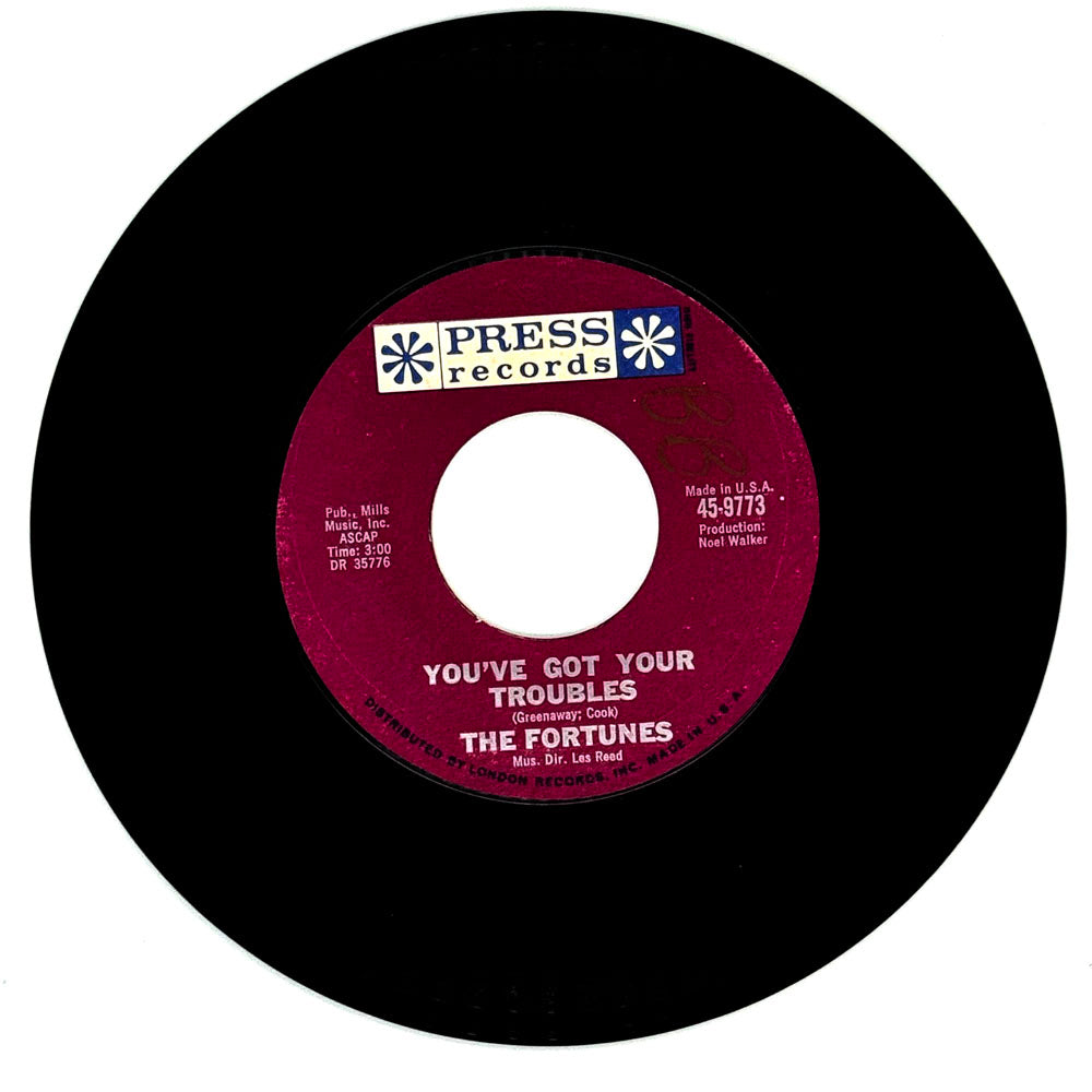 Fortunes, The : YOU'VE GOT YOUR TROUBLES/ I GOTTA GO