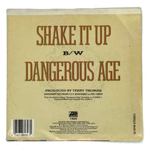 Load image into Gallery viewer, Bad Company : SHAKE IT UP/ DANGEROUS AGE
