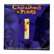 Load image into Gallery viewer, Chaka Demus &amp; Pliers : SHE DON&#39;T LET NOBODY/ TRACY
