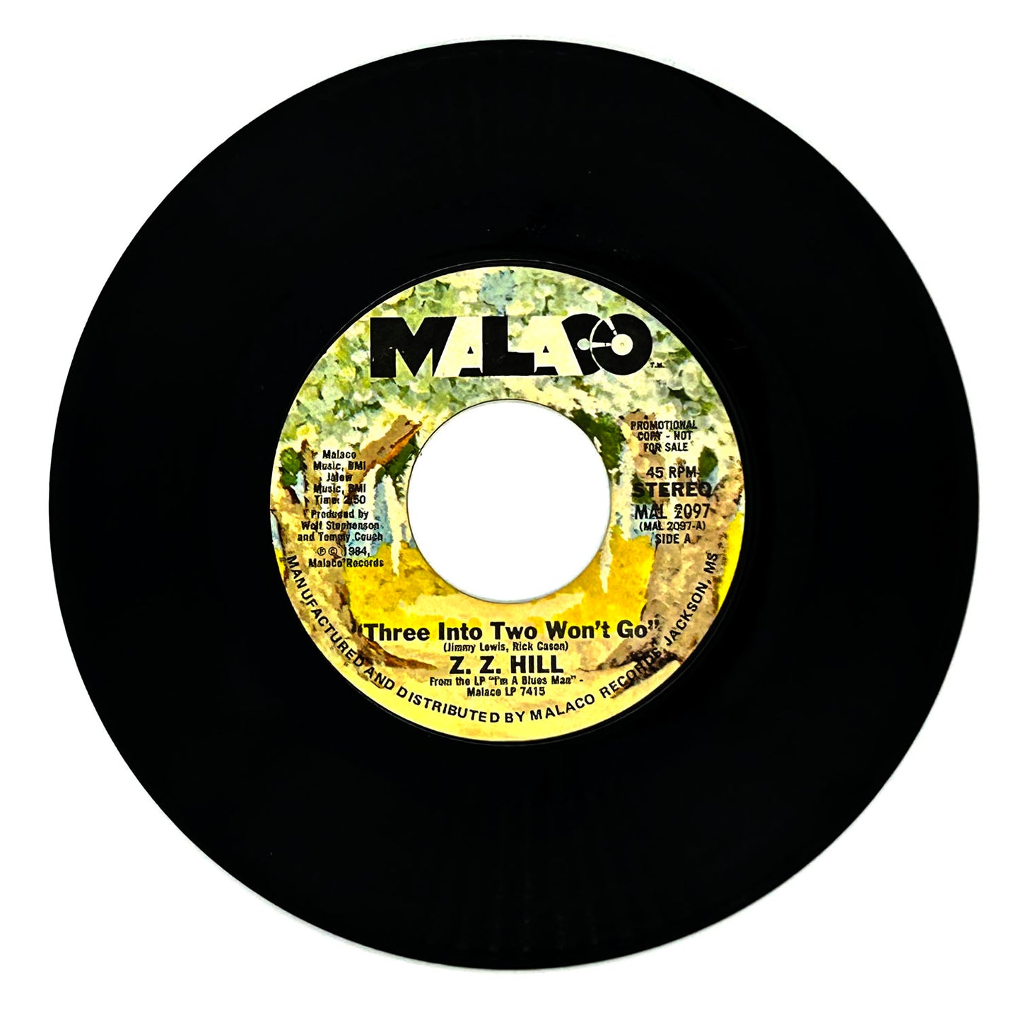Terri Hollowell : STRAWBERRY FIELDS FOREVER/ STRAWBERRY FIELDS FOREVER