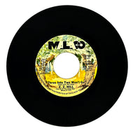 Terri Hollowell : STRAWBERRY FIELDS FOREVER/ STRAWBERRY FIELDS FOREVER