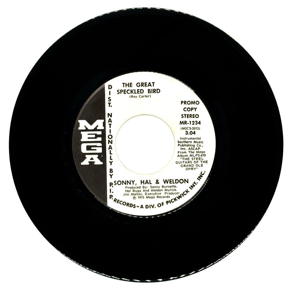 Sonny, Hal & Weldon : THE GREAT SPECKLED BIRD/ KILLING ME SOFTLY