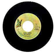 Carly Simon : WATERFALL/ AFTER THE STORM