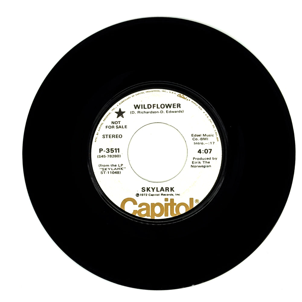 Skylark : WILDFLOWER/ WILDFLOWER