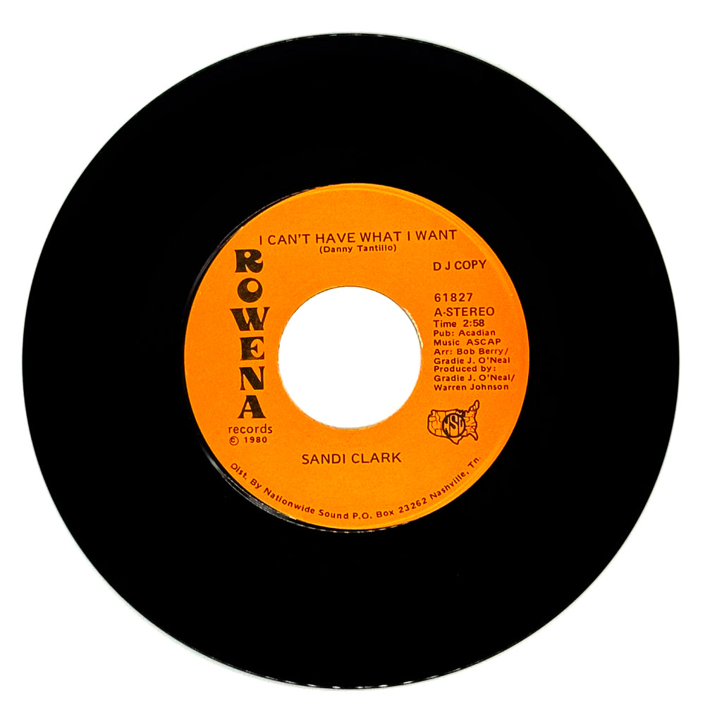 Sandi Clark : I CAN'T HAVE WHAT I WANT/ TRUCK STOP