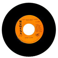 Sandi Clark : I CAN'T HAVE WHAT I WANT/ TRUCK STOP