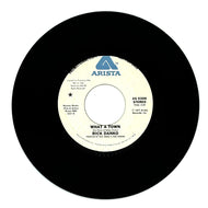 Rick Danko : WHAT A TOWN/ WHAT A TOWN