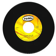 Bobby Fuller Four : I FOUGHT THE LAW/ The Seeds : PUSHIN' TOO HARD