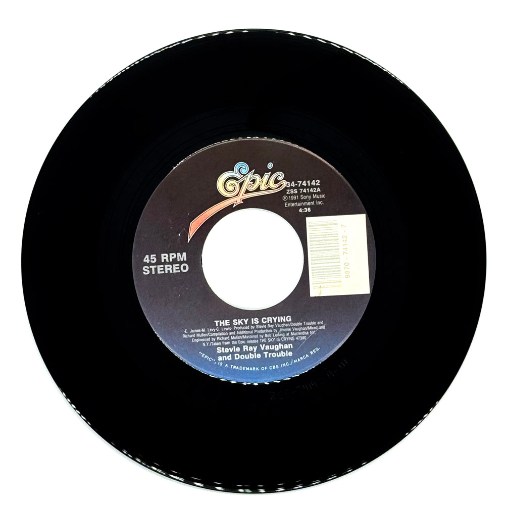 Taylor Dayne : LOVE WILL LEAD YOU BACK/ YOU MEANT THE WORLD TO ME