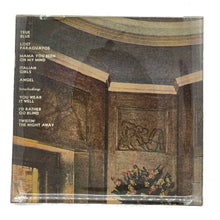 Load image into Gallery viewer, • Rod Stewart : ANGEL/ LOST PARAGUAYOS
