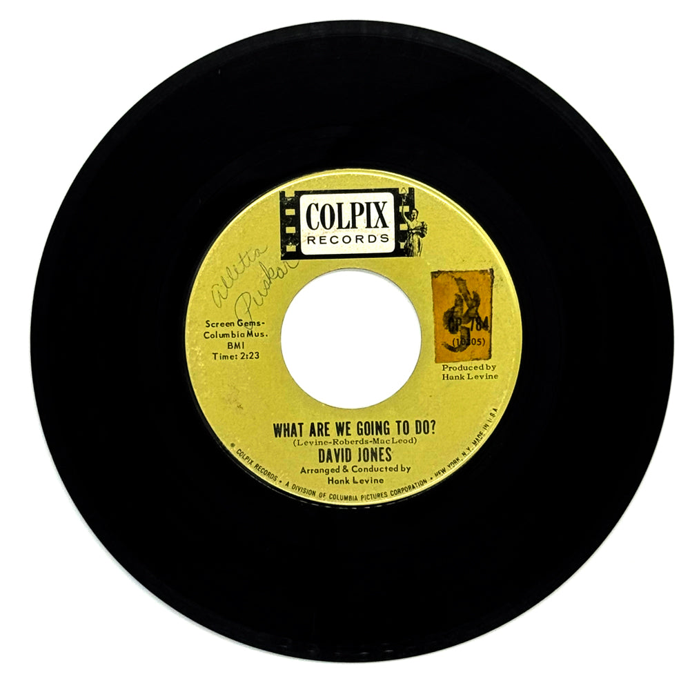 David Jones : WHAT ARE WE GOING TO DO?/ THIS BOUQUET