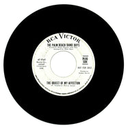 Palm Beach Band Boys, The : THE OBJECT OF MY AFFECTION/ STRANGERS IN THE NIGHT