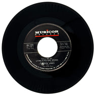 George Jones : TELL ME MY LYING EYES ARE WRONG/ YOU'VE BECOME MY EVERYTHING