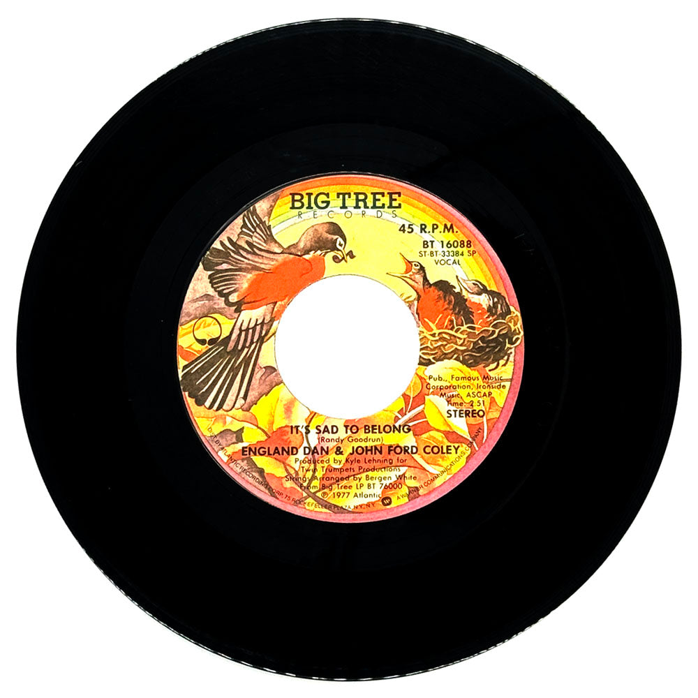 England Dan & John Ford Coley : IT'S SAD TO BELONG/ THE TIME HAS COME
