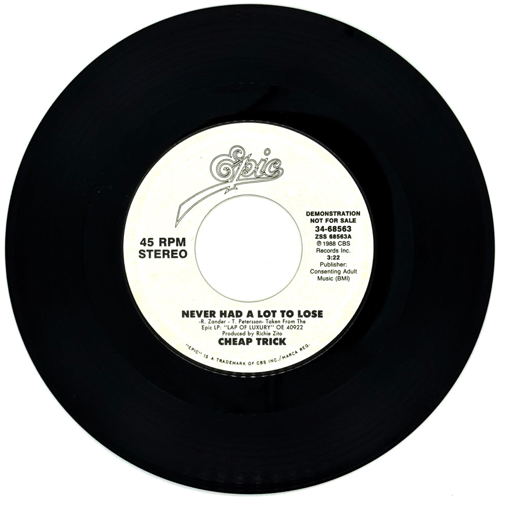 Cheap Trick : NEVER HAD A LOT TO LOSE/ NEVER HAD A LOT TO LOSE