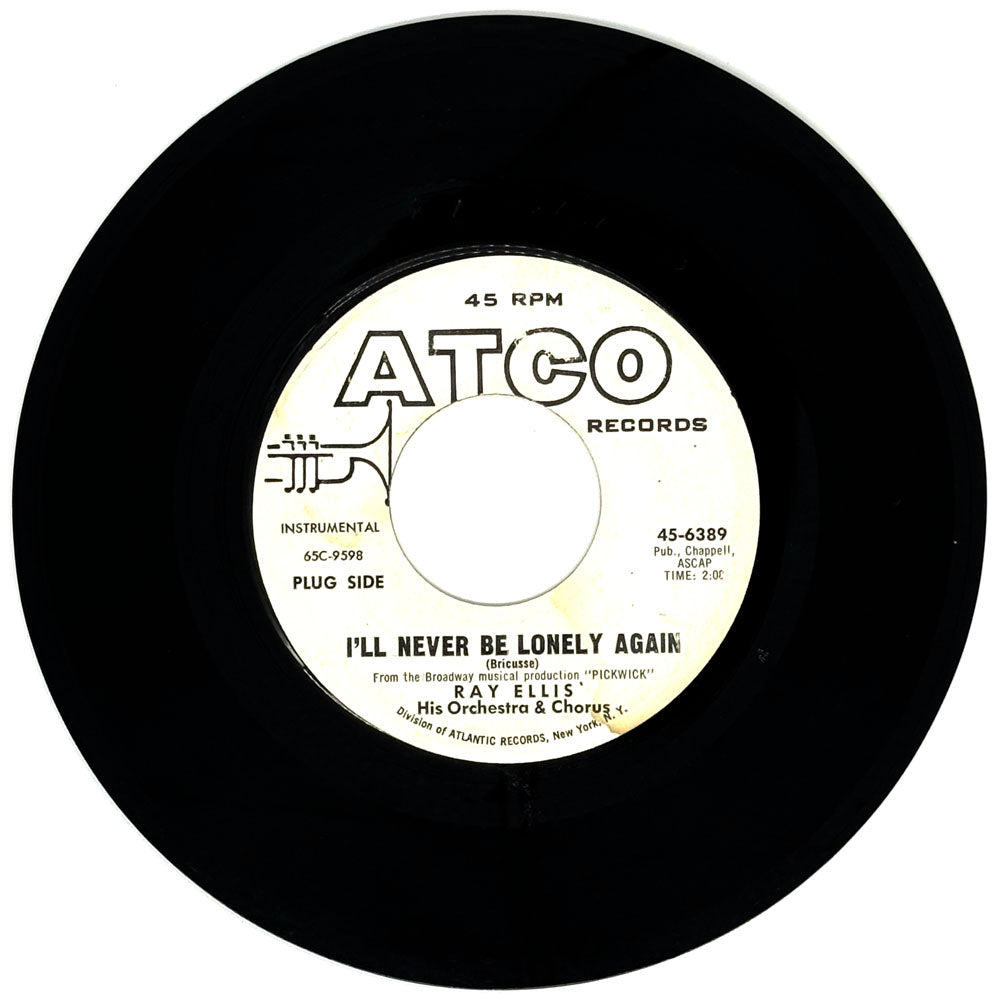 Ray Ellis : I'LL NEVER BE LONELY AGAIN/ WAIT UNTIL WE'RE SIXTY-FIVE