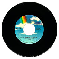 Afternoon Delights, The : GENERAL HOSPI-TALE/ GENERAL HOSPI-TALE (INSTRUMENTAL)
