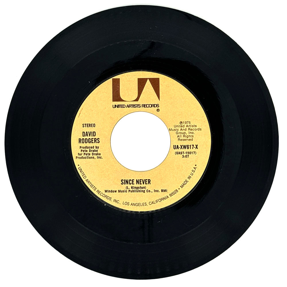 David Rodgers : SINCE NEVER/ IT TAKES A WHOLE LOTTA LIVIN' IN A HOUSE