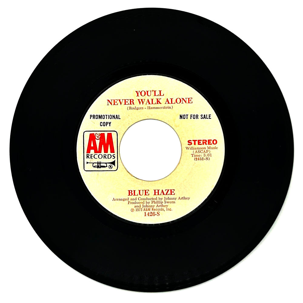 Blue Haze : YOU'LL NEVER WALK ALONE/ YOU'LL NEVER WALK ALONE