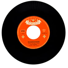 Load image into Gallery viewer, Peter Alexander : MONDSCHEINMELODIE/ AY VERA

