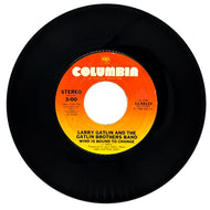Greg Guidry : GOIN' DOWN/ DARLIN' IT'S YOU