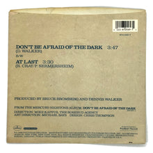 Load image into Gallery viewer, Robert Cray : DON'T BE AFRAID OF THE DARK/ AT LAST
