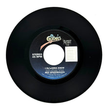 Load image into Gallery viewer, REO Speedwagon : I DO&#39;WANNA KNOW/ ROCK &#39;N ROLL STAR
