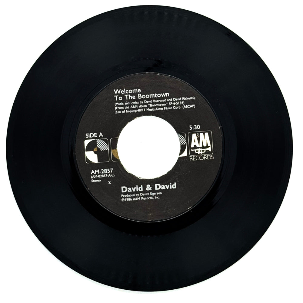 David & David : WELCOME TO THE BOOMTOWN/ A ROCK FOR THE FORGOTTEN