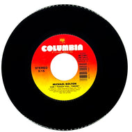 Michael Bolton : CAN I TOUCH YOU... THERE?/ AIN'T GOT NOTHING IF YOU AIN'T GOT LOVE