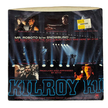 Load image into Gallery viewer, Styx : MR. ROBOTO/ SNOWBLIND
