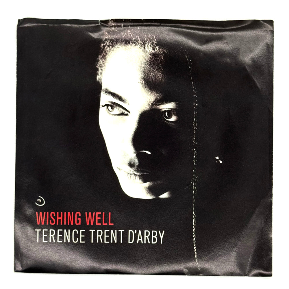 • Terence Trent D'Arby : WISHING WELL/ ELEVATORS & HEARTS